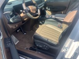 
 Kia EV9 full									