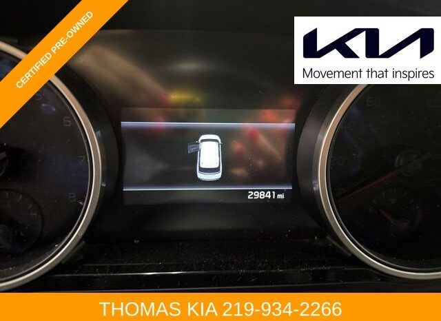 
 Kia Carnival full									