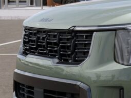 
 Kia Sorento full									