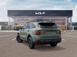 
 Kia Sorento full									
