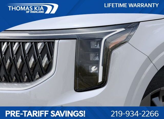 
 Kia Carnival Hybrid full									