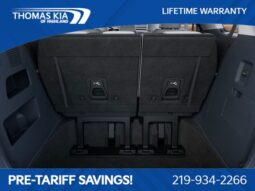 Kia Carnival Hybrid full