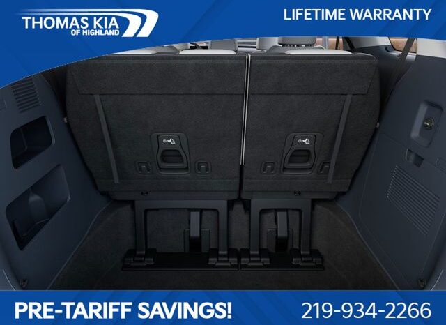 
 Kia Carnival Hybrid full									