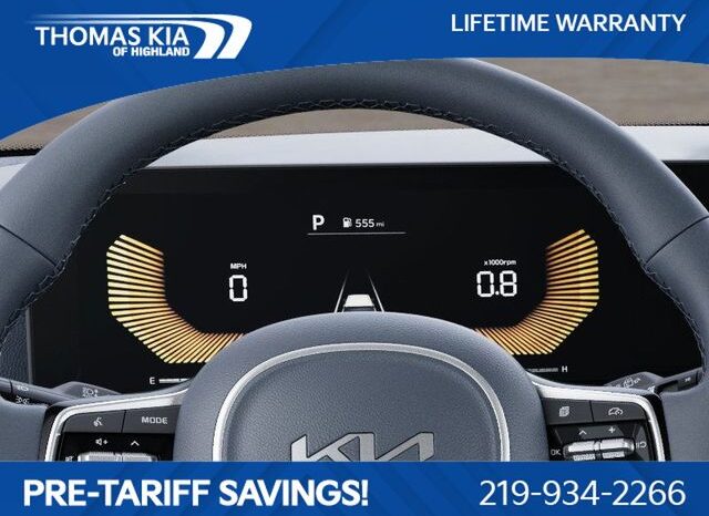 
 Kia Carnival Hybrid full									