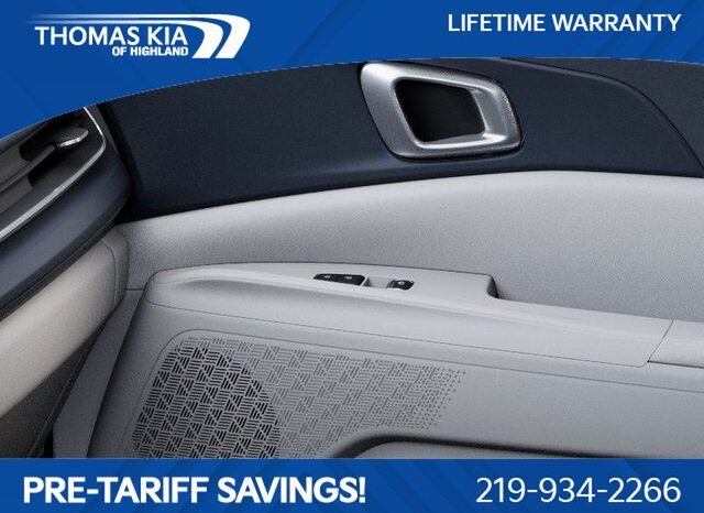 
 Kia Carnival Hybrid full									