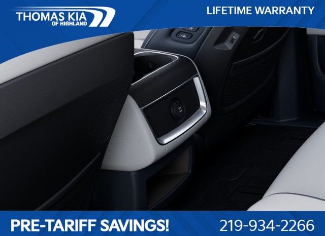 
 Kia Carnival Hybrid full									