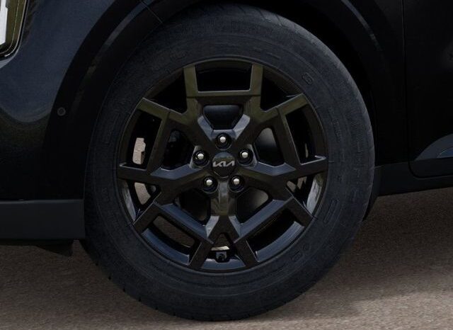 
 Kia Carnival Hybrid full									