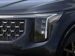 Kia Carnival Hybrid full