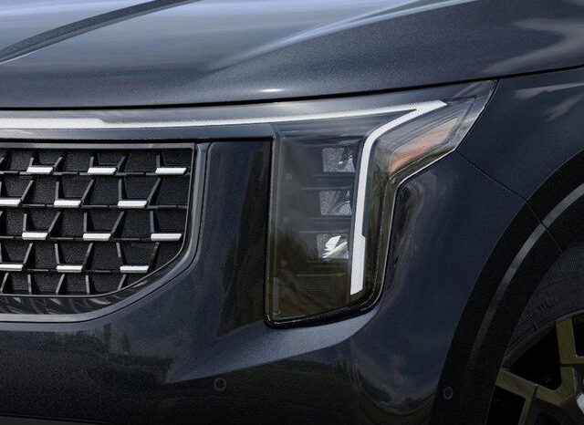 
 Kia Carnival Hybrid full									