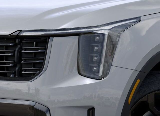 
 Kia Sorento full									