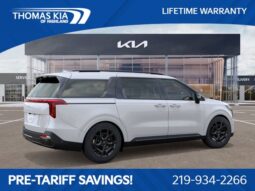 
 Kia Carnival full									