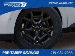 
 Kia Carnival full									