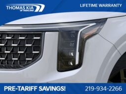 
 Kia Carnival full									
