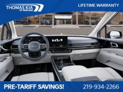
 Kia Carnival full									