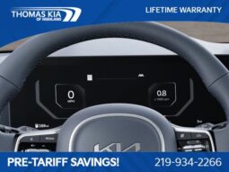 
 Kia Carnival full									