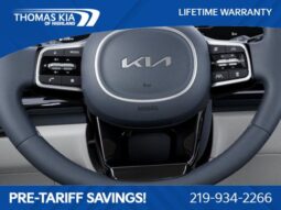 
 Kia Carnival full									