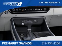 
 Kia Carnival full									
