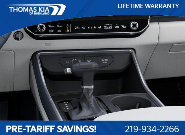 
 Kia Carnival full									