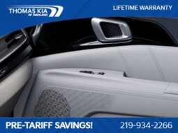 
 Kia Carnival full									