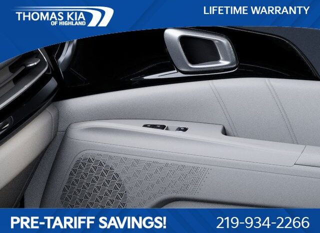
 Kia Carnival full									
