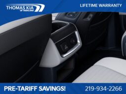 
 Kia Carnival full									