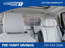 
 Kia Carnival full									
