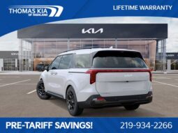 
 Kia Carnival full									