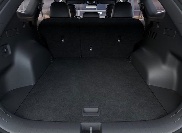 
 Kia Sportage Hybrid full									