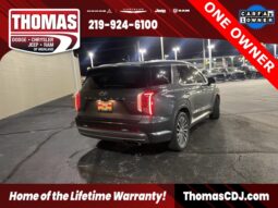 
 Hyundai Palisade full									