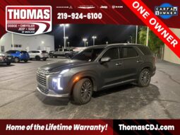 
 Hyundai Palisade full									
