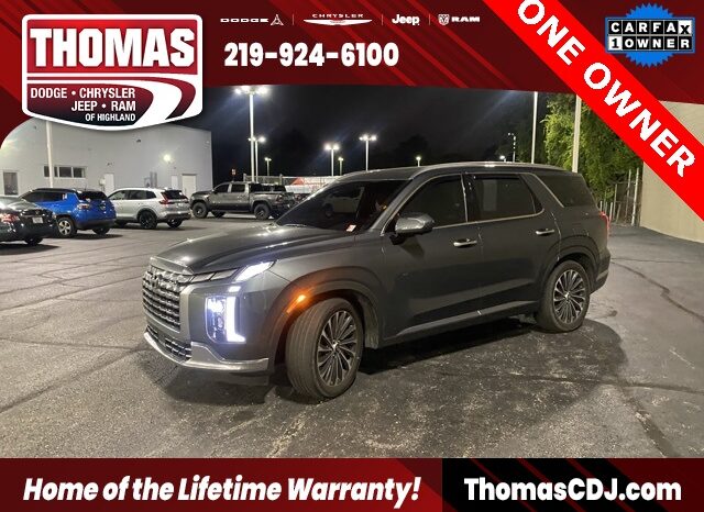
 Hyundai Palisade full									