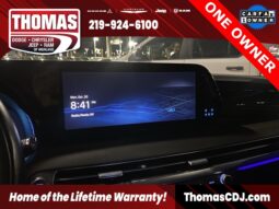 
 Hyundai Palisade full									