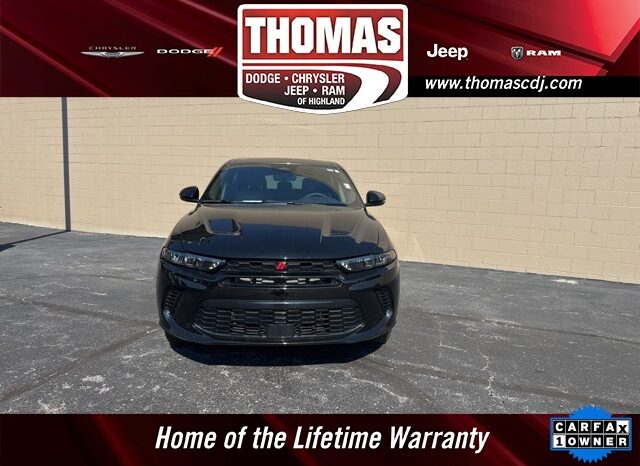 
 Dodge Hornet full									