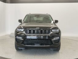
 Jeep Grand Cherokee full									