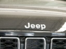 
 Jeep Grand Cherokee full									