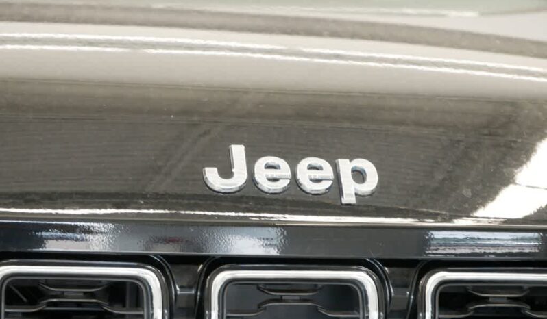 
 Jeep Grand Cherokee full									