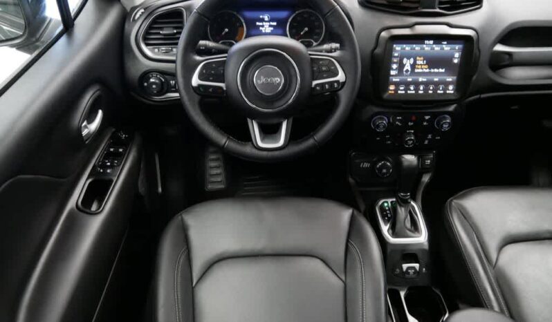 
 Jeep Renegade full									