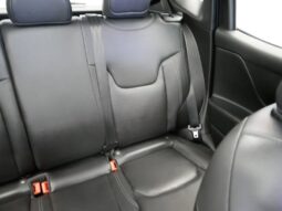 
 Jeep Renegade full									