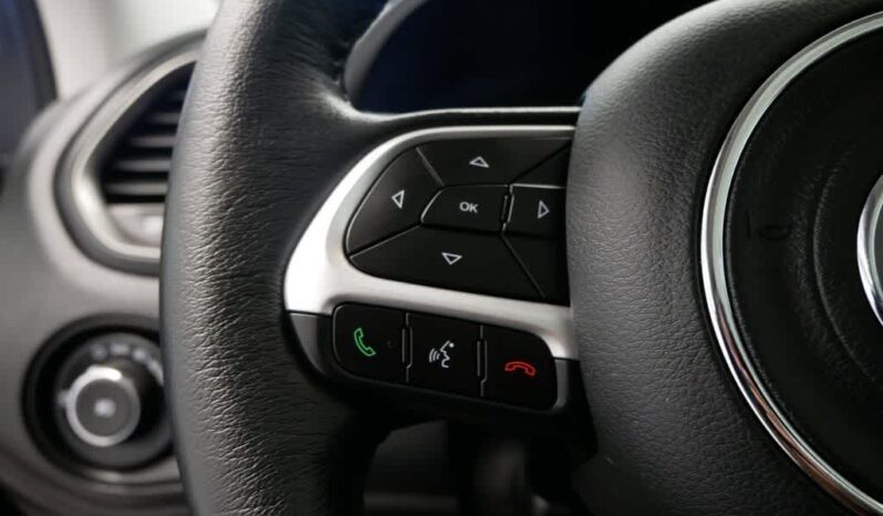 
 Jeep Renegade full									