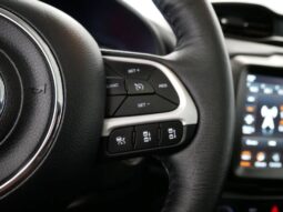 
 Jeep Renegade full									