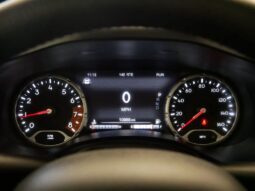 
 Jeep Renegade full									