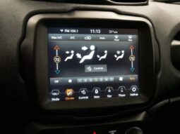 
 Jeep Renegade full									