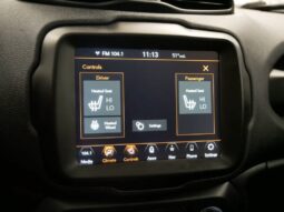 
 Jeep Renegade full									