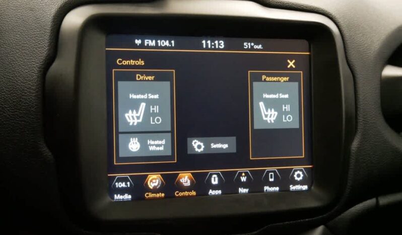 
 Jeep Renegade full									