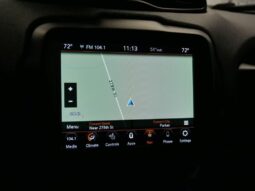 
 Jeep Renegade full									