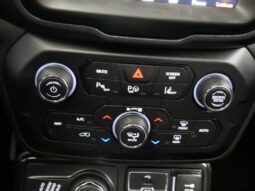 
 Jeep Renegade full									