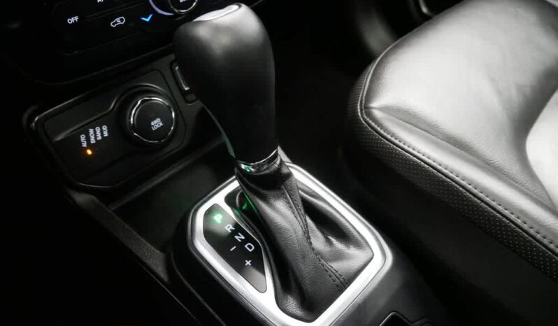 
 Jeep Renegade full									