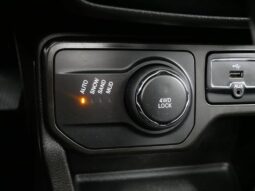 
 Jeep Renegade full									