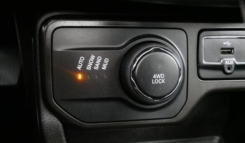 
 Jeep Renegade full									