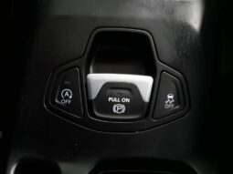 
 Jeep Renegade full									